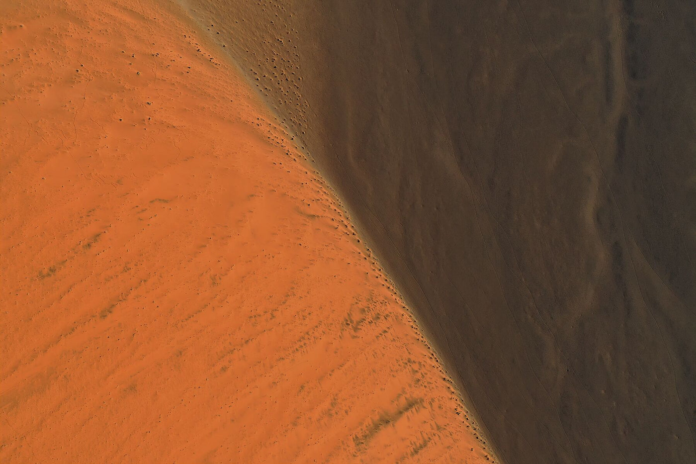 Dune Closeup